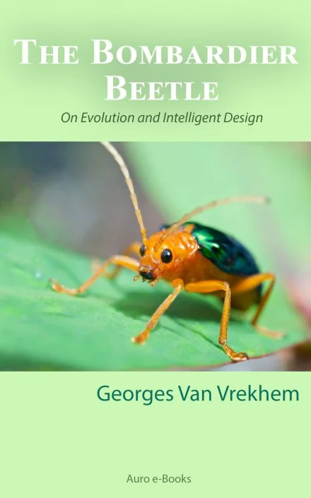 The Bombardier Beetle