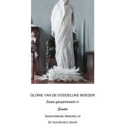 Glorie van de Goddelijke Moeder, Alok Pandey