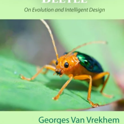The Bombardier Beetle